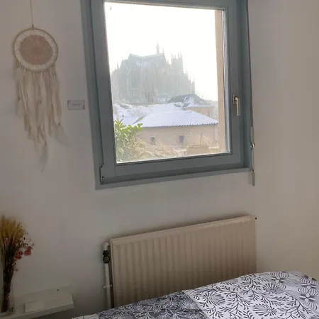 Apartment Vue Les Pieds Dans L'eau Metz